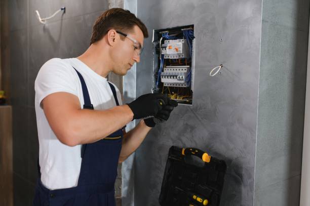 Best Electrical System Inspection  in Dawson, MN